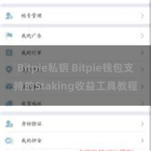 Bitpie私钥 Bitpie钱包支持的Staking收益工具教程